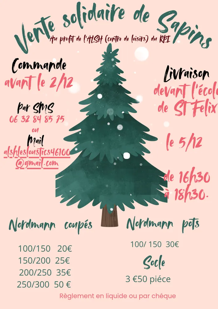 Marché de Noël à Saint-Félix — Une vente solidaire de sapins de Noël à Saint-Félix