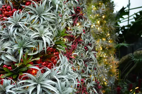 Marché de Noël à Saint-Céré — Marché de Noël à Florasphère