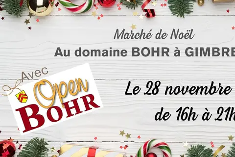 Marché de Noël à Berstett — Marché de Noël au Domaine Bohr avec Bienvenue à la Ferme