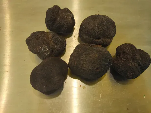 Marché de Noël à Comprégnac — Marché de Noël et Fête de la Truffe