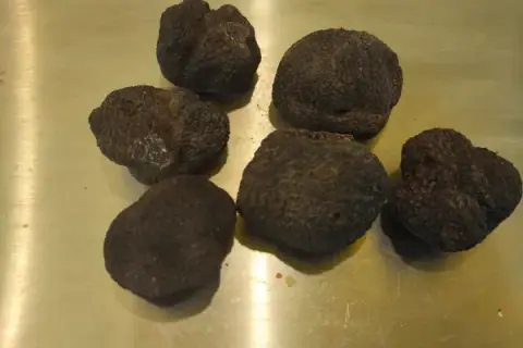 Marché de Noël à Comprégnac — Marché de Noël et Fête de la Truffe