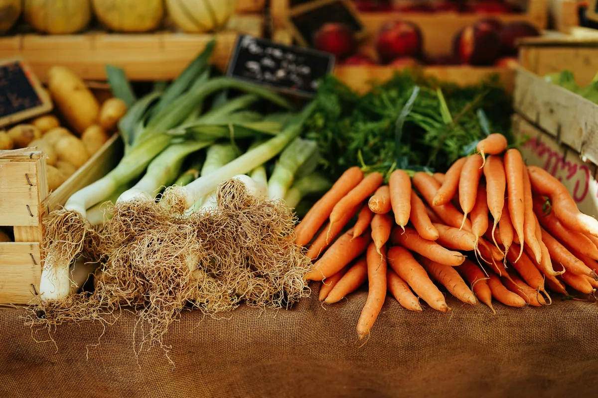 Marché de Noël à Gourdon — Marchés de Réveillons