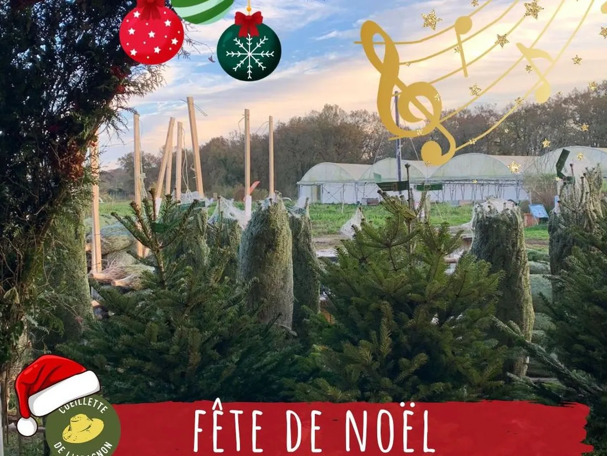 Marché de Noël à Serres-Castet — Marché de Noël, à la Cueillette de l'Aragnon