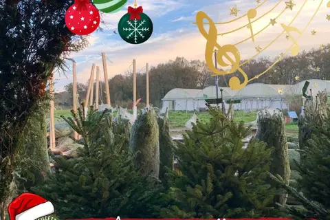 Marché de Noël à Serres-Castet — Marché de Noël, à la Cueillette de l'Aragnon